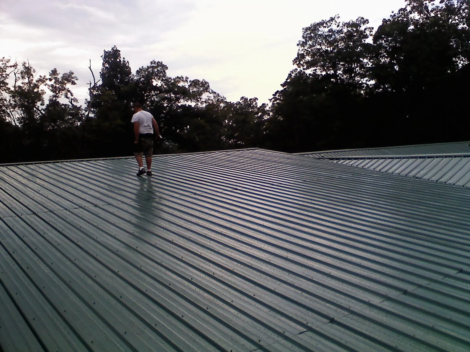 Roofer walking a wide expanse of new green metal roofing in Bernhards Bay